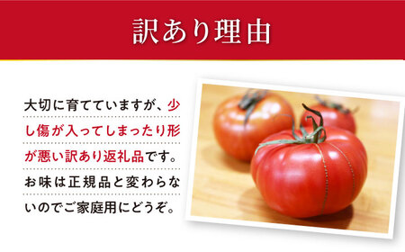 【2025年収穫分先行予約】【訳あり】大島トマト 計5.4kg（約1.8kg×3回定期便）【数量限定】＜大島造船所農産G＞ [CCK008]