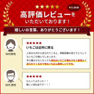 亘理町のいちご もういっこ 250g×4パック 仙台いちご イチゴ