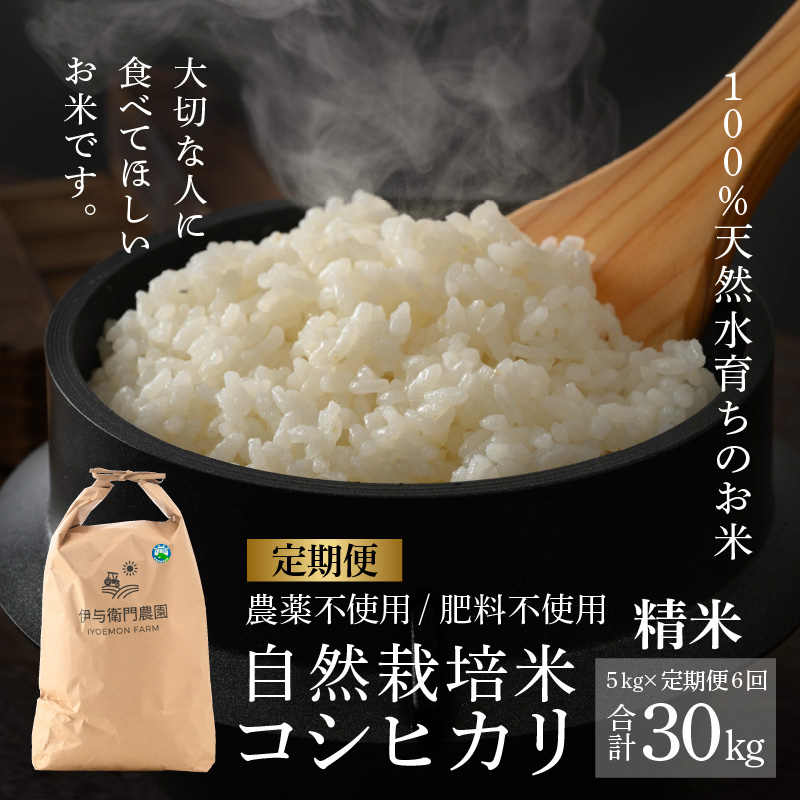 【先行予約】【定期便6回】令和6年産 新米 伊与衛門農園の自然栽培コシヒカリ精米 5kg×6回  伊与衛門農園の特別栽培米＜温度と湿度を常時管理し新鮮米を出荷！＞/ 米 白米 自然の力 高品質 鮮度抜群 ブランド米 福井県 あわら市産 スマート農業 ※2024年10月中旬以降順次発送予定