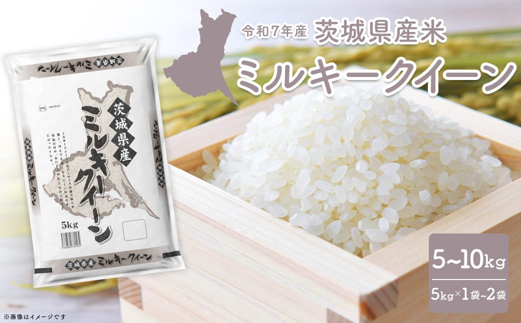 
                  最短2日後～7営業日以内発送 ミルキークイーン 5kg or 10kg (5kg×2袋) 茨城県産 小分け 人気 米【令和7年産/白米】 白米 みるきーくいーん K2660 K2661
                
