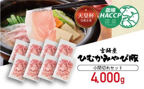 香川畜産の豚肉小間切れセット　4,000g 【 肉 豚肉 国産 九州産 宮崎県産 豚こま おかず たっぷり 】