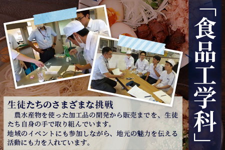 水産高校生考案　枕崎かつおラーメン2人前×4袋　和風しお味　液体スープ付　コンパクトサイズW0-11【1658461】