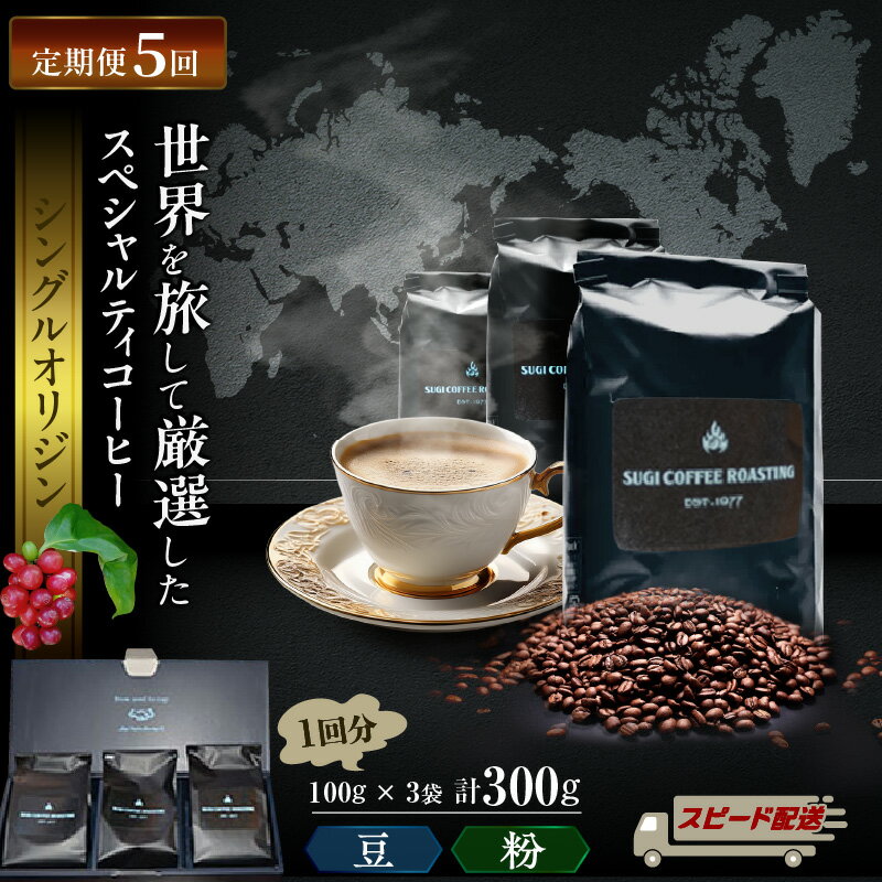 【ふるさと納税】【定期便】 5ヶ月 厳選 世界のスペシャルティ コーヒー （100g×3種・計 300g × 5 回）【選べる 豆 粉 挽き方】シングルオリジン 珈琲豆 飲料 ドリンク 3種類 珈琲豆 粗挽き 中挽き 細挽き エスプレッソ挽き 送料無料
