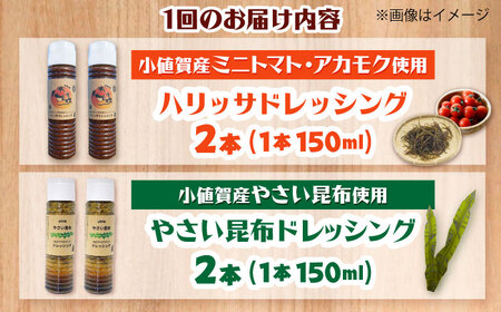 【3回定期便】【コンボ/4本セット】ねばりけとハリッサがすごいドレッシングコンボ / ドレッシング 2種セット 小値賀町 /factory333[DAS055]