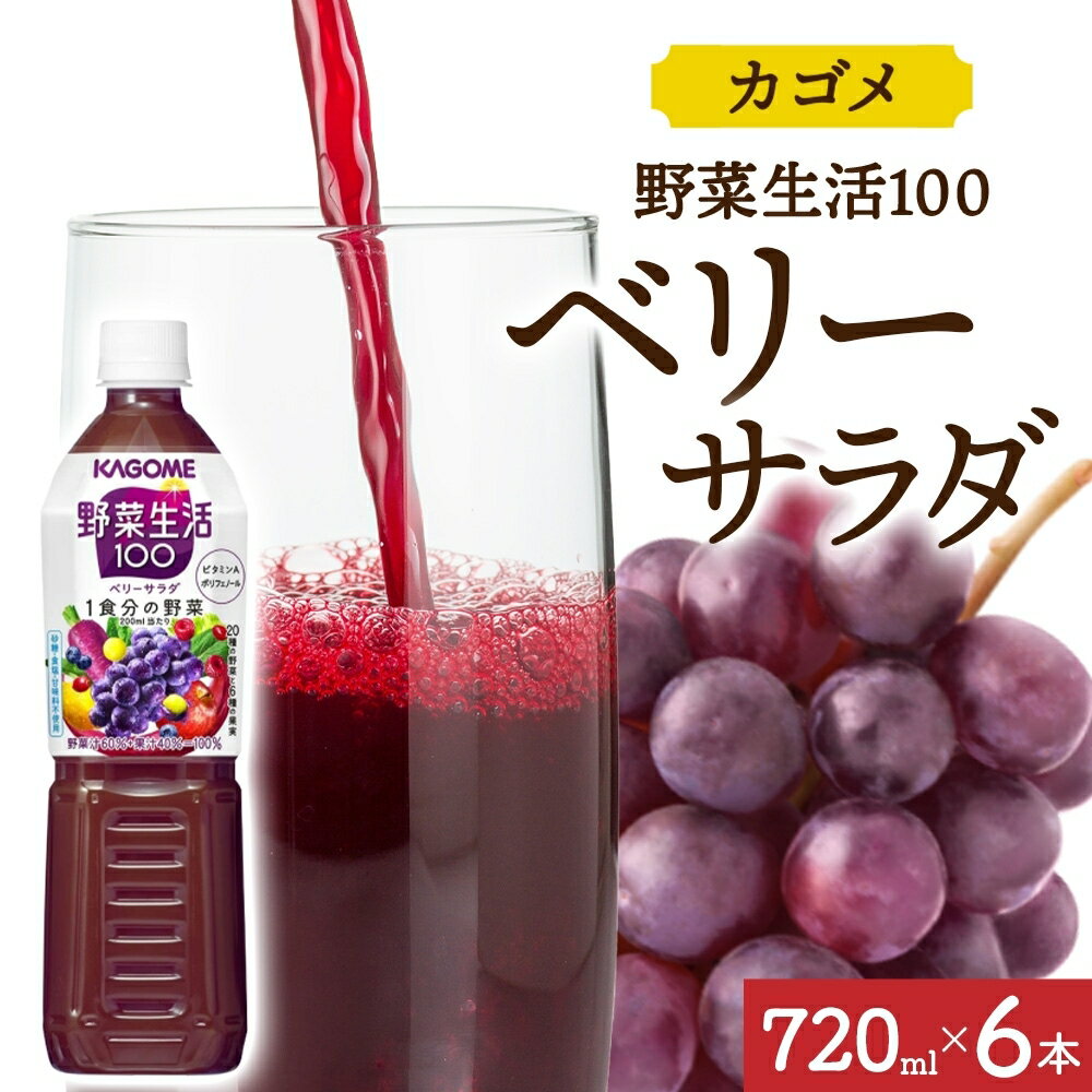 【ふるさと納税】野菜生活100 ベリーサラダ 720mlPET×6 栃木県 那須塩原市 ペットボトル 野菜 果実 ベリー ミックスジュース β-カロテン フルーティー 紫野菜 KAGOME 送料無料