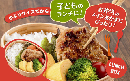 国産豚肉使用 精肉店の手づくりハンバーグ 20個【有限会社丸伸商事】[AKFH046]