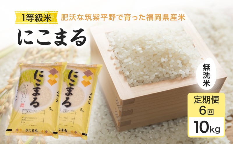 
            定期便 6回 米 1粒からこだわる 1等級米 にこまる 無洗米10kg お米 コメ お楽しみ 6ヶ月 令和7年度産
          