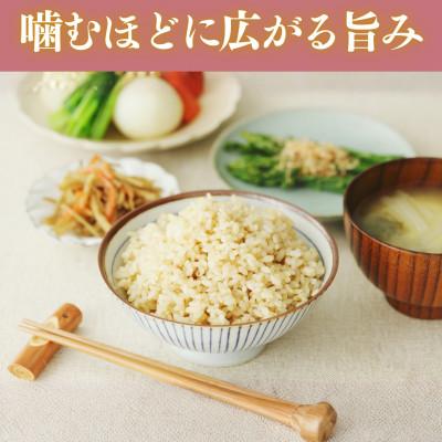 ふるさと納税 小浜市 令和7年産　福井県産こしひかり玄米10kg |  | 02