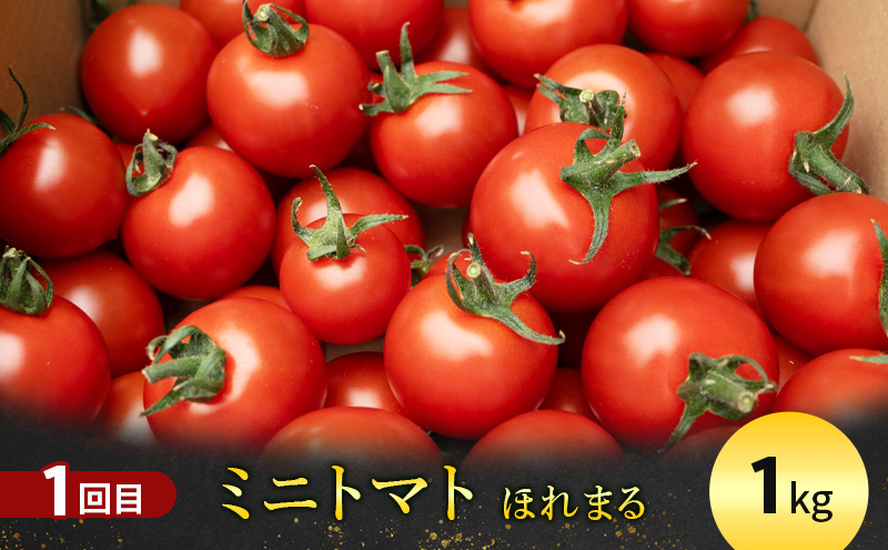 【定期便4回】逸品！大満足！特産品定期便 北海道 富良野市 まるごと 味わう スイーツ ワイン ザンギ トマト ババロア プリン マスカルポーネ