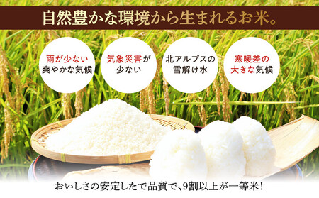  【新米】★数量限定★　令和７年産　長野県産コシヒカリ　5kg | 米 コシヒカリ 長野 信州 大町