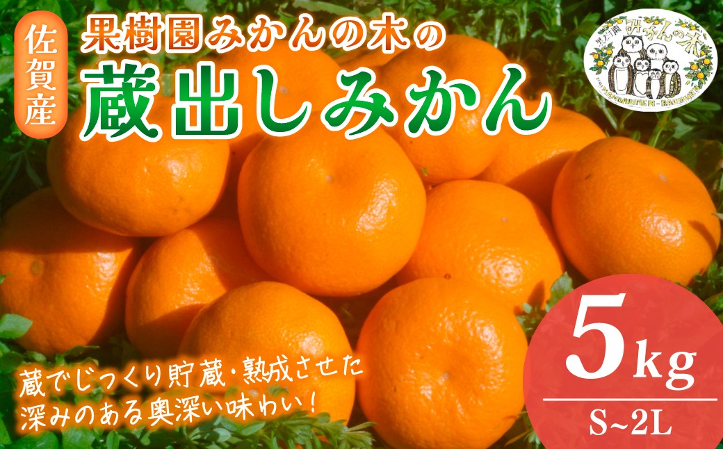 
                  N24x1 果樹園みかんの木の蔵出しみかん 5kg みかん ミカン 蜜柑 たらみかん 太良みかん 温州みかん 完熟みかん 甘熟 柑橘 国産 佐賀県産 太良町 こだわり 有機栽培 産地直送 贈答品 詰め合わせ 極甘 蔵出し 熟成 【2027年1月下旬-3月上旬発送予定】
                
