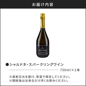 【OcciGabi Winery】シャルドネ・スパークリング・ワイン 【余市のワイン】 ワイン 白ワイン 人気ワイン スパークリングワイン シャルドネワイン 北海道のワイン 国産ワイン _Y012-0