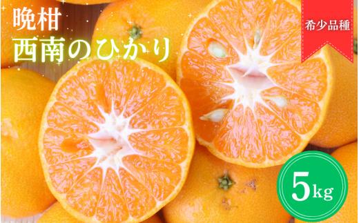 【2026年分先行予約】晩柑 西南のひかり　5kg【12月上旬以降発送予定】 / 和歌山県 田辺市 みかん 晩柑みかん 柑橘【mrn010-1】