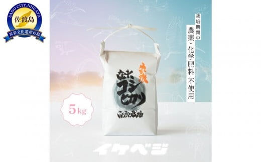 
            新潟県佐渡産 令和7年産 【在来コシヒカリ】 玄米 5kg
          