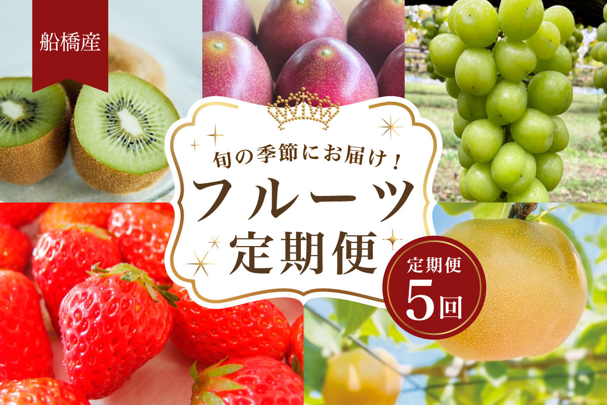 
                  船橋産フルーツ定期便（5品目）　梨 豊水 パッションフルーツ シャインマスカット キウイ イチゴ エコチョク
                