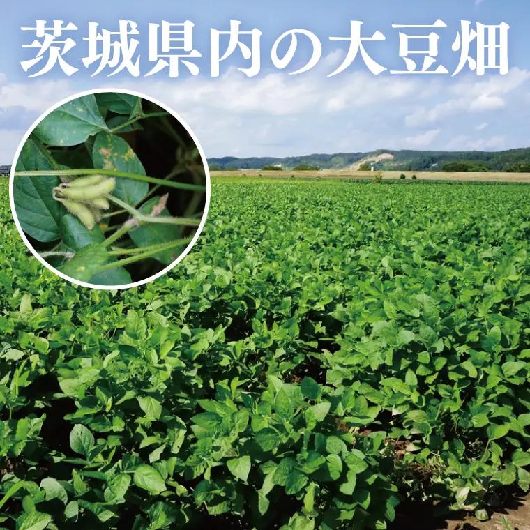 【3ヶ月定期便】TVで紹介！あの男性アイドルが試食した納豆！！水戸 だるま納豆国産小粒３P（１２個入り）×3回 納豆 なっとう 大豆 国産 茨城県産 遺伝子組み換え不使用 腸活 タンパク質 発酵食品 