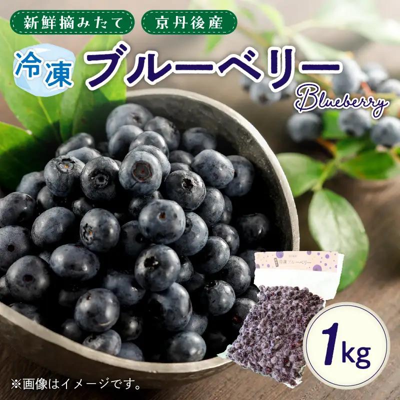冷凍ブルーベリー 1kg | フルーツ 果物 ベリー
