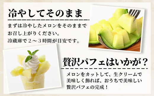 【2026年5月上旬発送開始】熊本県産 アンデスメロン 4〜5玉 約5kg 【 アンデス メロン フルーツ 果物 くだもの 熊本県 多良木町 】 083-0696