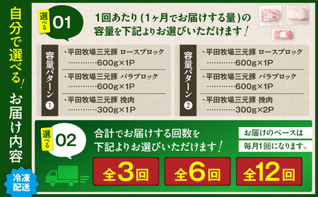 【 全3回 毎月 定期便 】 日本 の 米育ち 平田牧場 三元豚 バラブロック 600g ・ 豚ロースブロック 600g ・ 豚挽肉 300g T036-T14-01 定期 肉 お肉 にく 豚 豚肉 
