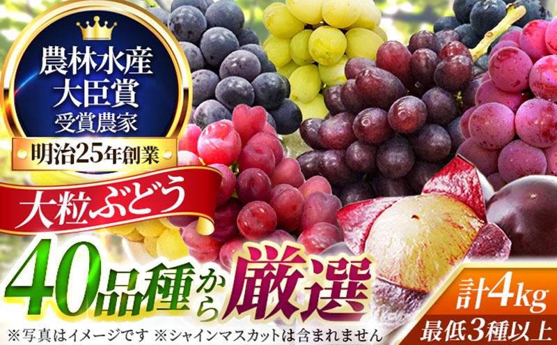
                  大粒品種詰め合わせ(シャインマスカット含まず)4.0サイズ
                