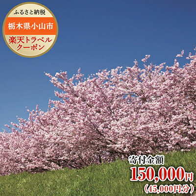 【ふるさと納税】栃木県小山市の対象施設で使える楽天トラベルクーポン寄付額150,000円