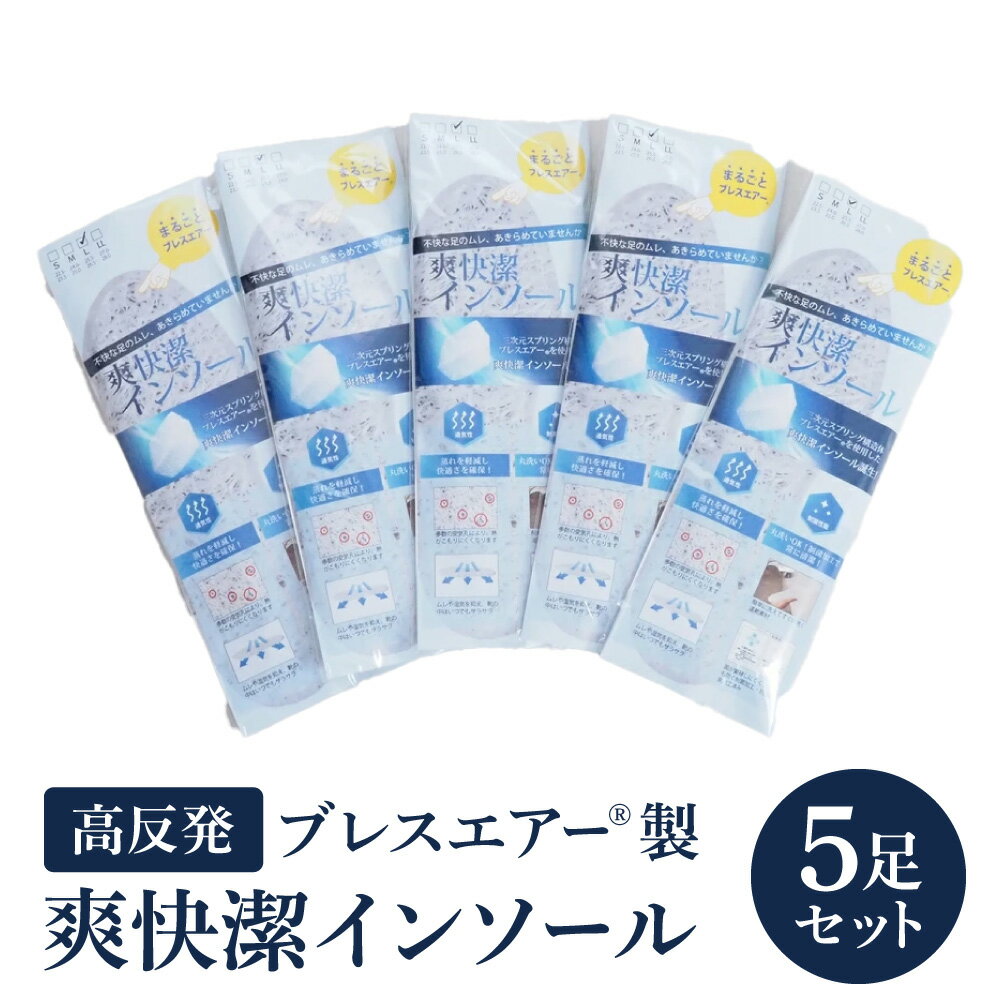 【ふるさと納税】高反発ブレスエアー&reg;製「インソール」5足セット 日本製 近江化成工業株式会社 滋賀県 東近江市 A-G22 洗える 蒸れない 抗菌 防臭 足ムレ対策 水虫予防 立ち仕事 足裏快適 高通気 衝撃吸収 スニーカー ブーツ 安全靴 革靴