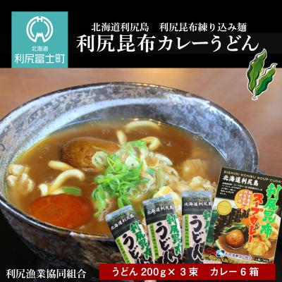 ふるさと納税 利尻富士町 風味豊か!利尻昆布カレーうどんセット《利尻漁業協同組合》