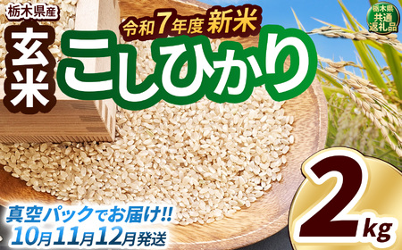 新米 こしひかり 玄米真空パック 約2kg
