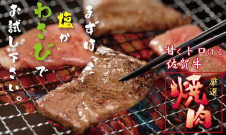 佐賀牛 A5 ランク保証！ 焼肉用 厳選部位 800g（400g×2P） C210-008