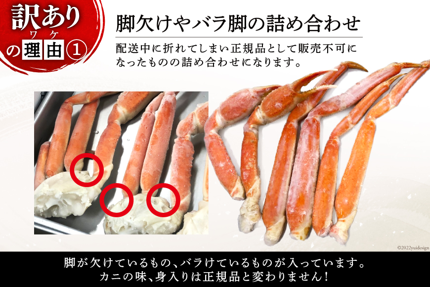 訳あり ボイル ずわいがに 肩付き脚 総重量1kg [カネダイ 宮城県 気仙沼市 20564325] カニ かに 魚介類 ズワイガニ ずわい蟹 ズワイ蟹 ずわい ズワイ 蟹 カニ カニ脚 蟹脚 不揃い