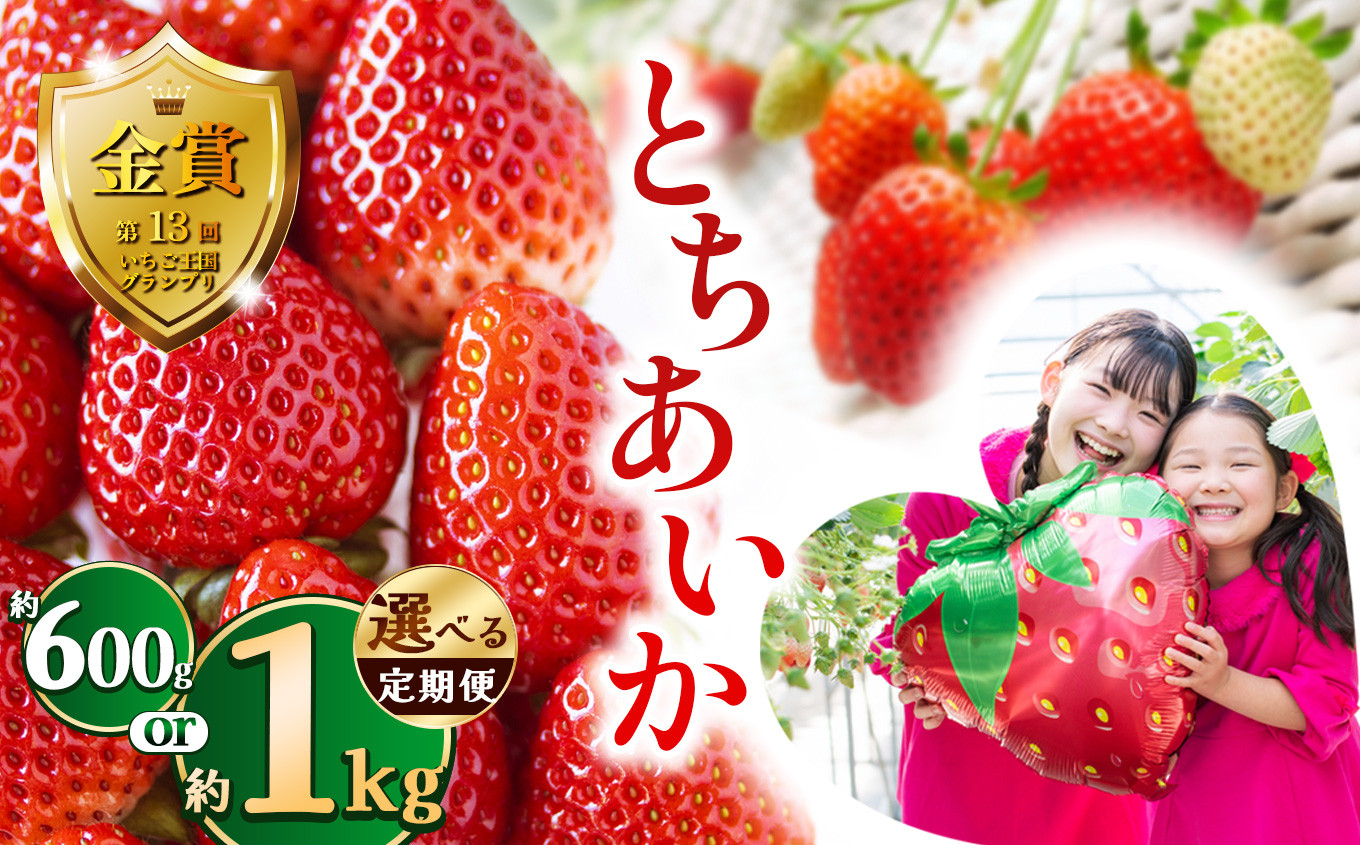 
            【先行予約】とちあいか約600g、1kg、定期便３回 | 送料無料 とちあいか いちご フルーツ 甘い ジューシー苺 ｲﾁｺﾞ ハート ハート型 ﾊｰﾄ 断面 果物 おいしい 栃木県 下野市
          