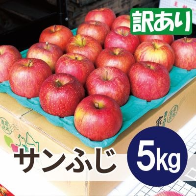 【26年3月より順次発送】平均糖度13度以上! サンふじ 約5kg 訳あり【配送不可地域：沖縄県】【1611223】
