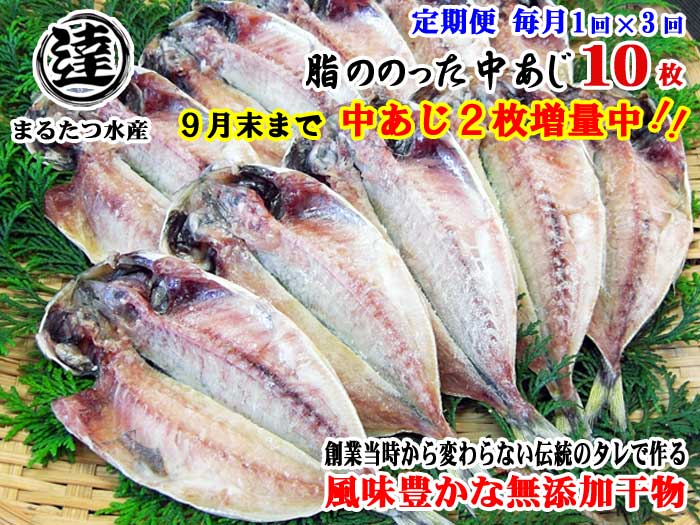 W03【ふるさと納税】【定期便 全3回】創業32年 自社工場 製造直売 完全無添加 伊豆・丸達 脂ののった中あじ ひもの10枚+2枚 合計12枚セット 9月末まで増量中 毎月1回×3回