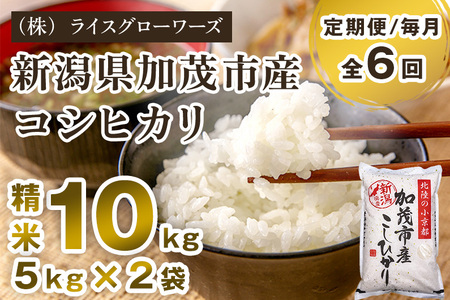【令和8年産新米先行予約】【定期便6ヶ月毎月お届け】新潟県加茂市産コシヒカリ 精米10kg（5kg×2）《10月上旬～順次出荷》 白米 （株）ライスグローワーズ