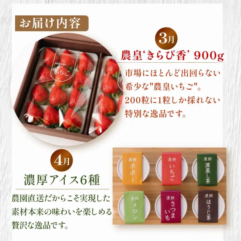 【定期便12回】 定期便 季節のおすすめ 農家のこだわり定期便 いちご メロン 新茶 森木農園