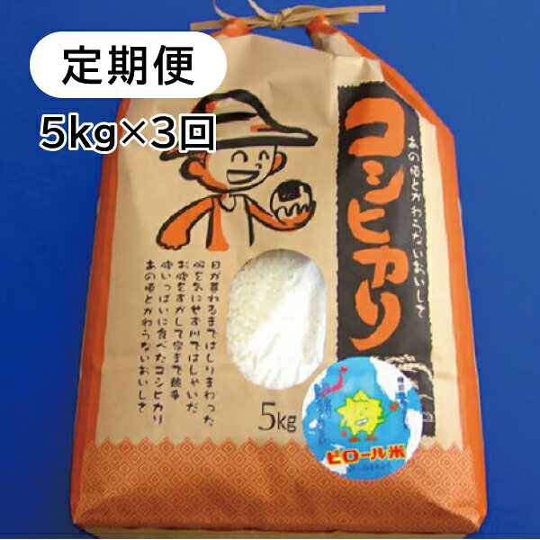 【ふるさと納税】【定期便3回】 こしひかり 白米 ピロール健康米 5kg 福井県越前市産 送料無料 福井県 越前市 米 減農薬 2025年令和7年 新生活 (18209)