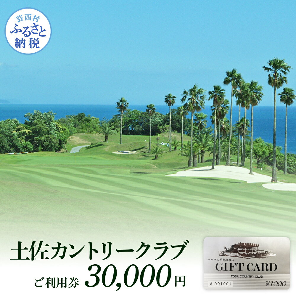 【ふるさと納税】 土佐カントリークラブ ご利用券 30,000円 ゴルフ場 ＜ゴルフ 利用券＞ ふるさと納税ゴルフ場利用券 名門 プロツアー 開催コース チケット ゴルフ（GOLF Golf golf） ゴルフチケット プレー券 人気 還暦祝い 男性 定年 退職 プレゼント 父 ギフト