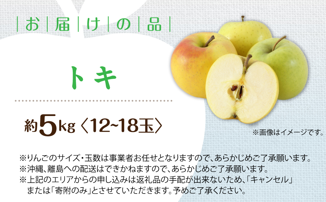 ＜2026年10月中旬よりお届け＞北海道壮瞥町　りんご　品種名「トキ」12～18玉約5kg SBTF017