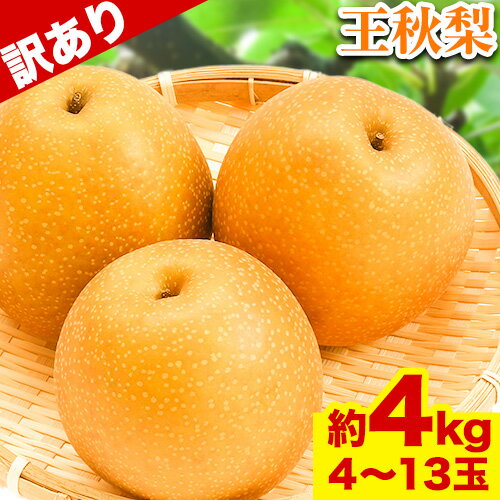 【ふるさと納税】【先行予約】【訳あり】王秋梨 約4kg (4~13玉) 高間商店《2025年11月上旬-2026年1月中旬頃出荷》 鳥取県 八頭町 梨 なし ナシ 果物 フルーツ ご家庭用　先行予約　ふるさと納税　送料無料　甘い　果実　果汁　デザート　王秋梨