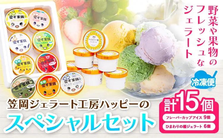 ハッピーのスペシャルセット 15個　アイス ジェラート
