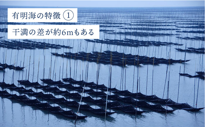 ＜味付けのり＞佐賀海苔 吉野ヶ里40束（10切5枚40袋） 株式会社サン海苔/吉野ヶ里町 [FBC045]