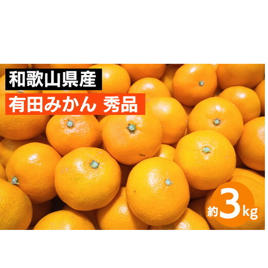【先行予約】 有田みかん 秀品 約3kg サイズ混合　和歌山県産