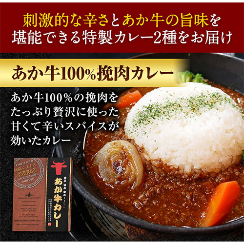 あか牛 カレー 詰め合わせ セット 2種 4食 セット あかうし 三協畜産 《60日以内に出荷予定(土日祝除く)》---sms_skakrt_23_60d_18000_4set---