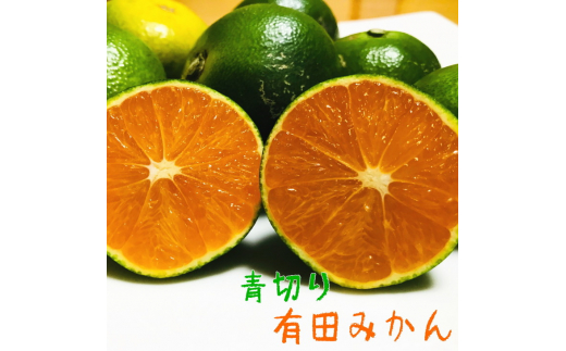 【先行予約】【2026年9月中旬～10月上旬頃に順次発送予定】有田育ちのご家庭用訳あり濃厚青切り有田みかん　約7.5kg+200g(傷み補償分)【ard146B】