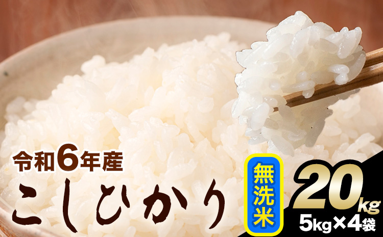 令和6年産 こしひかり 無洗米  20kg 精米 熊本県産(南阿蘇村産含む) 単一原料米 南阿蘇村《2月上旬-2月末頃出荷予定》---mna_kh6_ac2_25_46500_20kg_m---