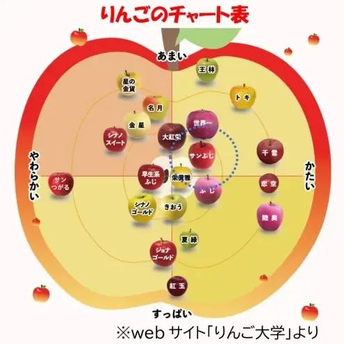 【11月発送】 贈答用 サンふじ 約3kg りんご 林檎 リンゴ 果物 フルーツ くだもの 旬 青森県産 お取り寄せ 贈り物 プレゼント 人気 東北 名産 常温 産地直送 送料無料 青森県 西目屋村