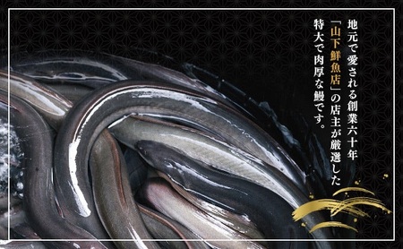 ＜2026年4月配送＞うなぎ蒲焼き 400g (200g×2尾) ／ 国産 蒲焼き 長焼き ウナギ 鰻 蒲焼 冷凍 贈答 うなぎ