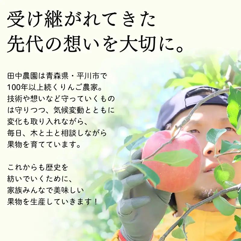 りんご 家庭用 サンふじ 約2kg 青森県平川市産[hi-0039-014]