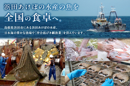 山陰浜田港 天然ふぐ鍋・炙り刺身セット 特製ポン酢付（3～4人前） 魚介 鍋 ふぐ 刺身 たたき セット 鍋セット 鍋料理 海鮮鍋 【146_2034】