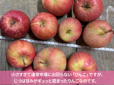 青森県鰺ヶ沢町産りんご megumi farmのぴんこ【訳あり 超小玉サンふじ】（20～30玉入） 果物類 フルーツ 産地直送 世界自然遺産りんご飴 甘口 安全 安心 